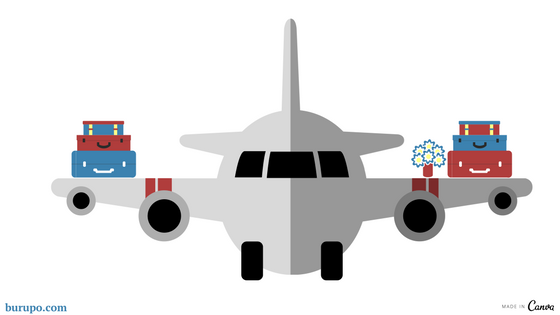 Урок “Новые правила перевоза багажа в самолёте” (B1)